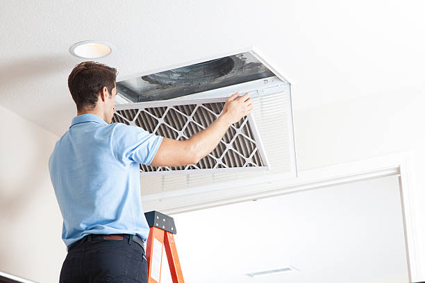 Best Air quality test  in Douglas, AL